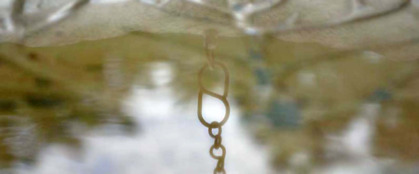 reflected chain